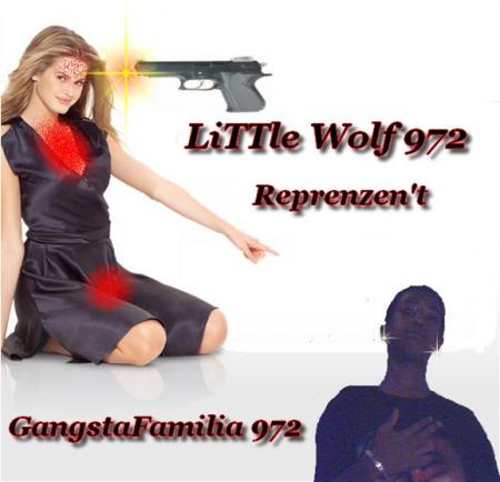 lilttle wolf